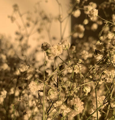 photo of a dress by Teuta Matoshi, the Flourishing Meadow Midi Dress